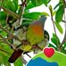 Erasmo Reyes - Facebook