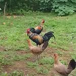 Erasmo Reyna - @erasmoreyna7 - Instagram