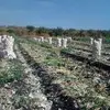erasmoreyna322 - @erasmoreyna322 - TikTok