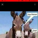 Erasmo Rios - @erasmo.rios.771 - Instagram