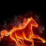 Erasmo Robledo - Facebook