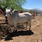 Erasmo Robles - Facebook