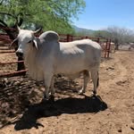 Erasmo Robles - @erasmorobles16 - Instagram