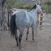 Erasmo Rubio - Facebook