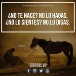 Erasmo Salas - @erasmosalas254 - Instagram