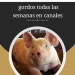 Erasmo Sandoval Matamoros - @erasmosandovalmatamoros - Instagram