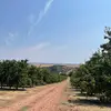 erasmosolis@ - @erasmosolssantana - TikTok