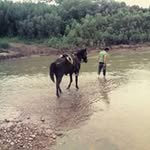 Erasmo Suarez - @erasmo_suarez96 - Instagram