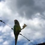 Erasmo Tapia - @erasmot2 - Instagram