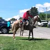 Erasmo Torres - @erasmotorres - TikTok