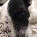 Erasmo Valdez - @erasmo.valdez.1806 - Instagram
