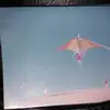 erasmovalenzuela016 - @erasmovalenzuela016 - TikTok