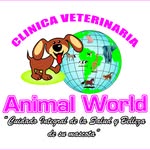 Erasmo Vargas - @vet.animalworld - Instagram