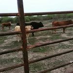 Erasmo Vasquez - @vasquez.erasmo - Instagram