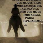 Erasmo Vega - @vegachombo299 - Instagram