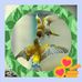 Vela M Erasmo - Facebook