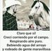 Erasmo Velez - Facebook