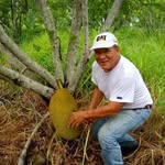 Erasmo Verdín Avena - @kolibri1948 - Instagram