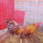 Erasmo Zavala - @erasmo45851 - Instagram
