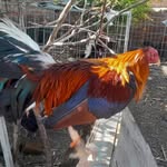 Erasmo Zavala - @zavalaerasmo398 - Instagram