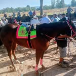 Erasmo Zavala - @zavalaerasmo072 - Instagram