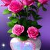 Erasmo Zelaya - Facebook