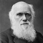 Erasmus_ Darwin 693 - @erasmus_darwin693 - Instagram