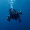 erasmuswilliam - @erasmuswilliam - TikTok