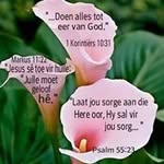 Eveline Erasmus Williams - @evelineerasmuswilliams - Instagram