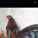Erasto Alvarez - Facebook