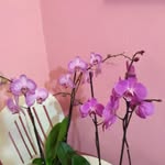 Erasto Escobar - @erastoescobar - Instagram