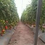 erasto Gonzalez - @gonzalezerasto - Instagram