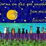 Erasto Lima - @limaerasto - Instagram