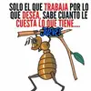 Erasto López - @erastolopez1234 - TikTok