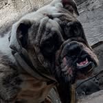 Edward Erasto Ramírez Medina - @edwarderastoramirez - Instagram