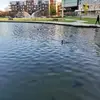 Erasto Ramirez - @erasto.ramirez8 - TikTok
