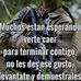 Erasto Ramirez - Facebook