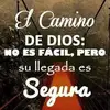 Erasto Rivera - @erasto.rivera1 - TikTok