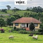Erasto Ruiz Sa - Facebook