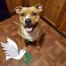 Erasmus Smith - Facebook