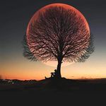 eray başaran - @m_eraybsrn - Instagram