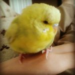 eray başaran hddd 61 - @eraytyty_hdd_61 - Instagram