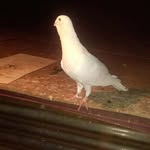 eraytunç - @eray_tunccc - Instagram