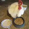 erby - @user2009980145717 - TikTok