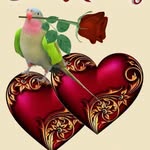 ERCAN AYDOGDU - @ercanaydogdu2 - Instagram