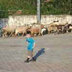 Ercan Baş - @basercan - Instagram
