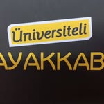 ercan ceylan - @universiteli_ayakkabi - Instagram