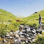Ercan Ceylan - @ercan.ceylan3 - Instagram