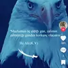 Ercan Eren - @ercan.eren0 - TikTok