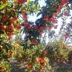Ercan Eren Ayaz - @ercan5176 - Instagram